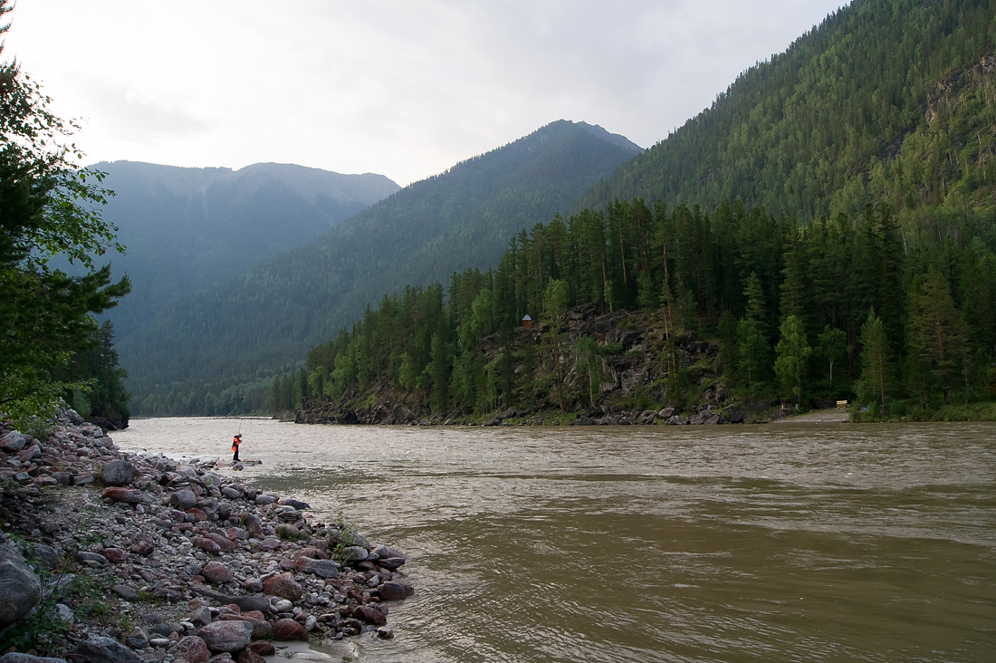 ����� ��������