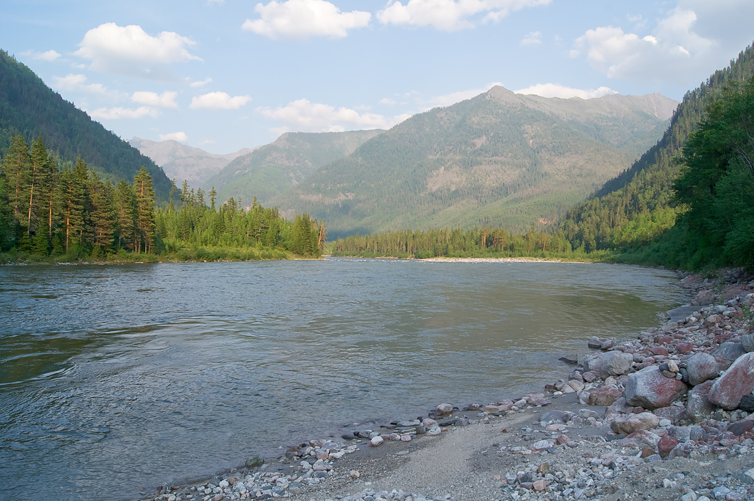 ����� �� �����