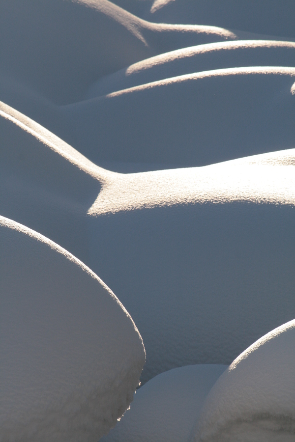 ������ ������� ���.