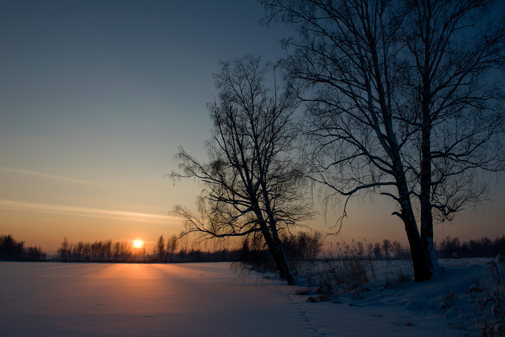 �������� ������