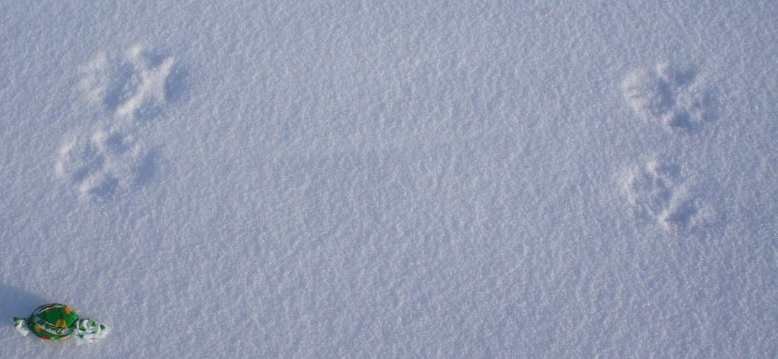 ����� �� �������