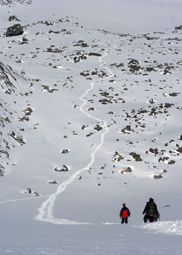 �� ����� �����