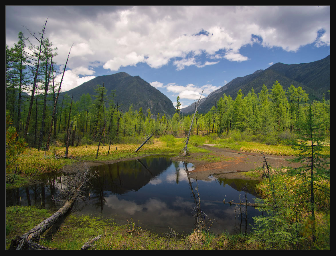 ��������� ����� � ����� �� �����