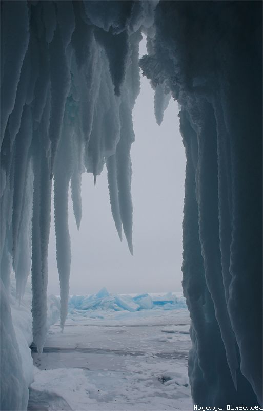 ������� ����