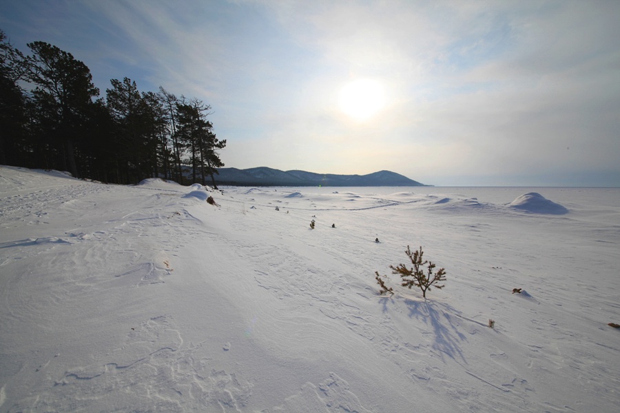 �������