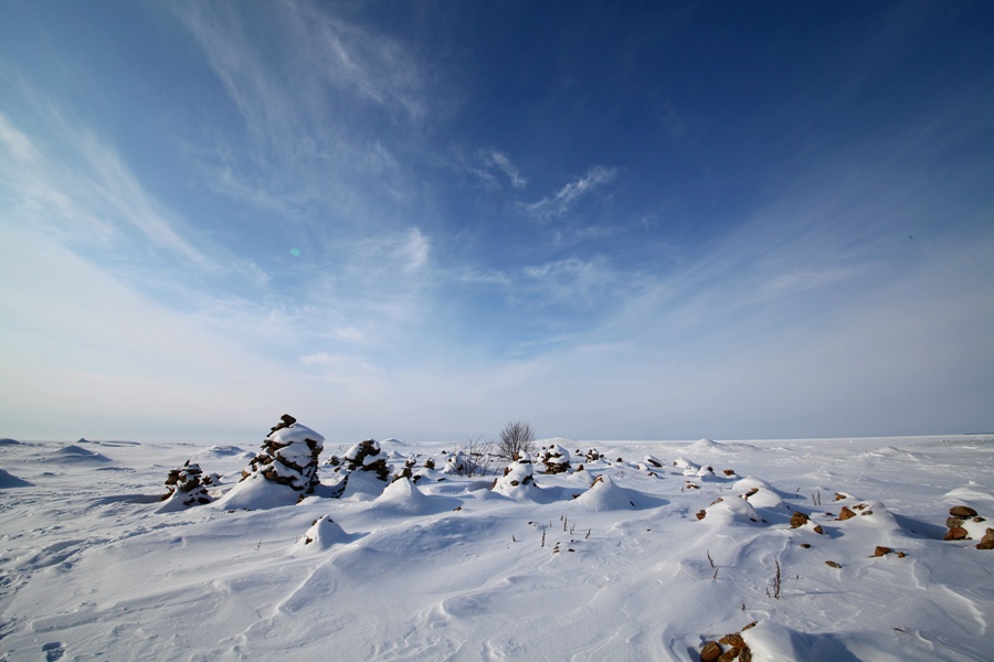 ������ �����