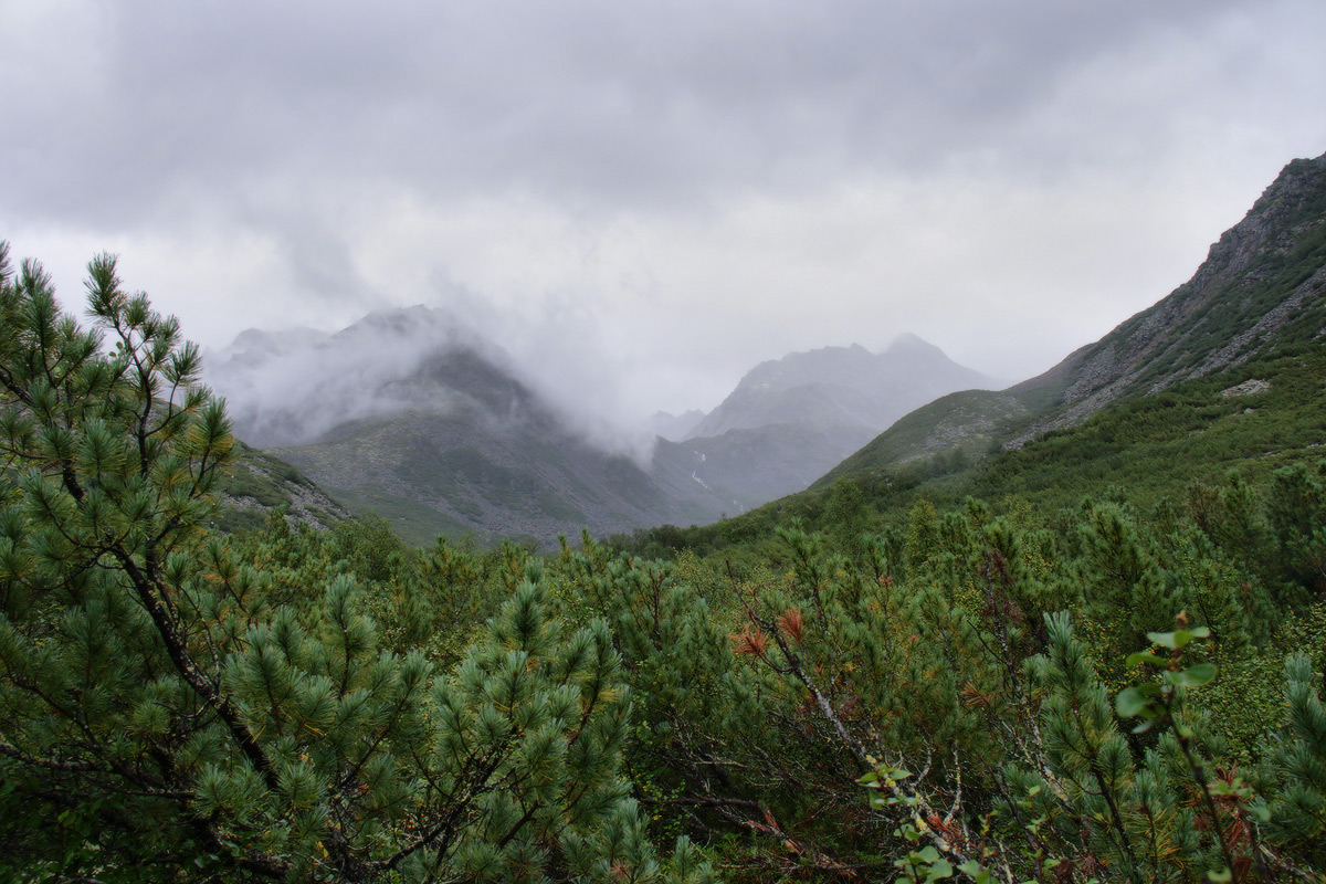 �� ���� ����� �����...