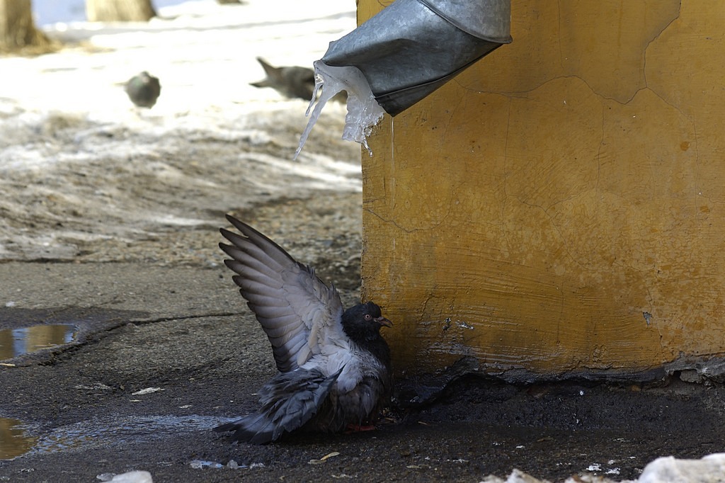 ������������ ���