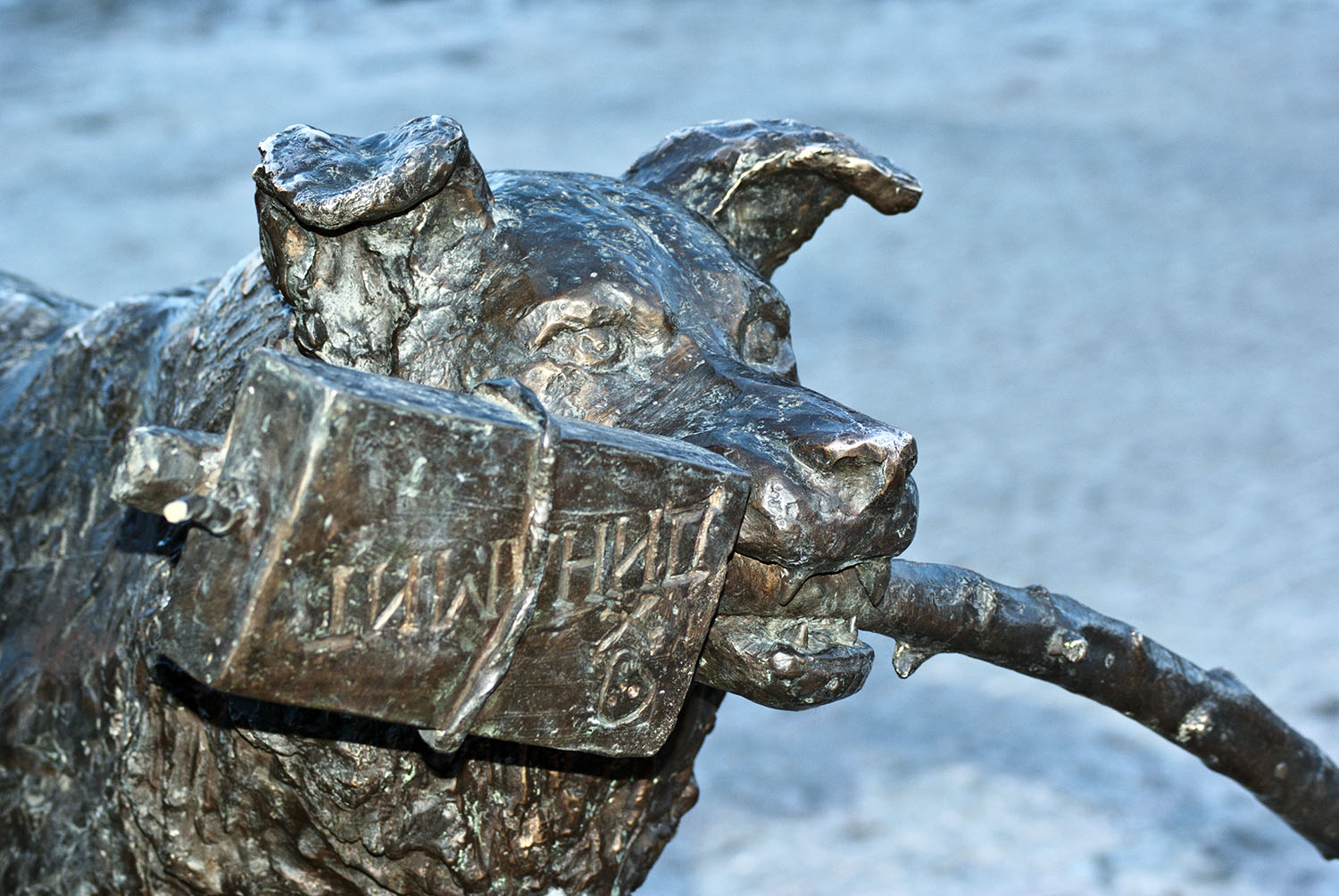 ����������� - ������ �����