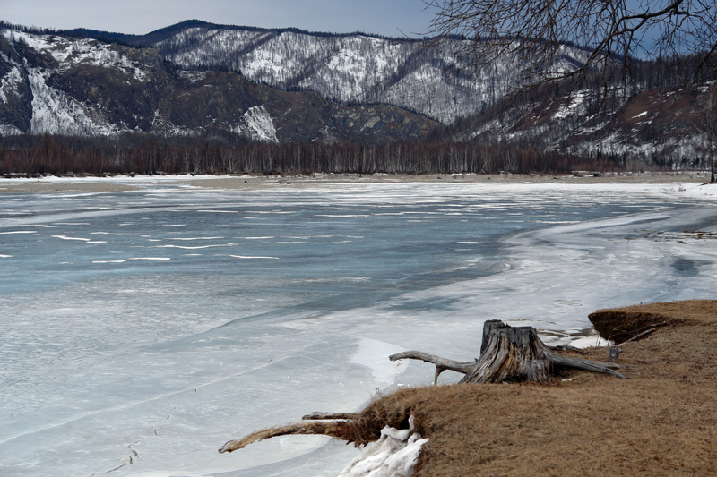 �������� ����� (��������)