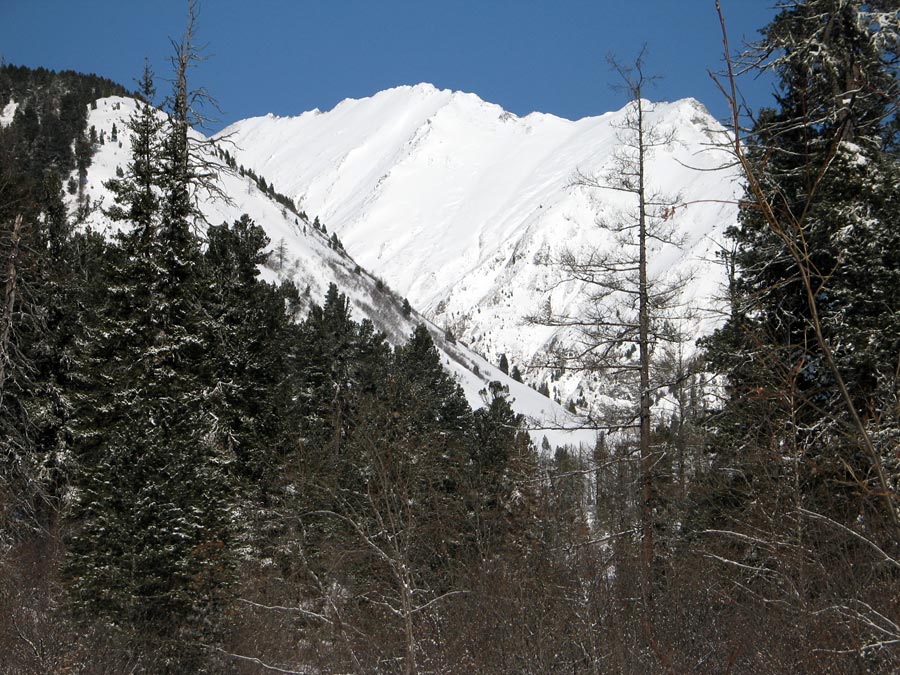 ������� ��� �������� �������