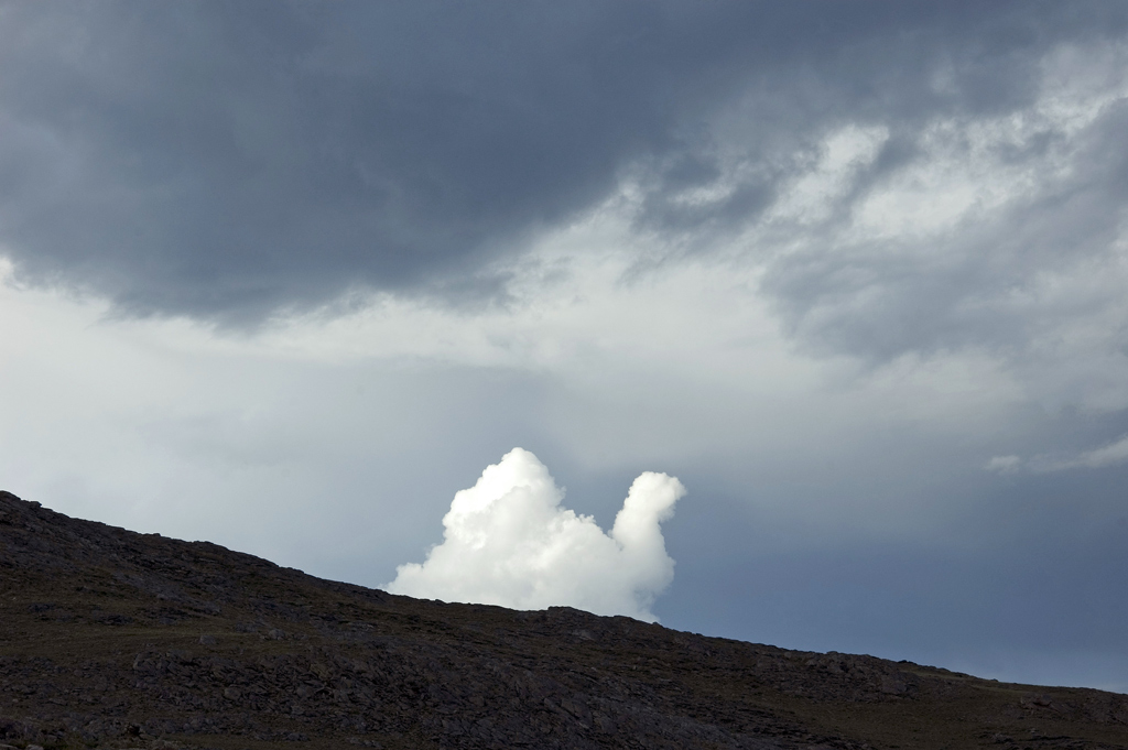 ���������, ������ �����