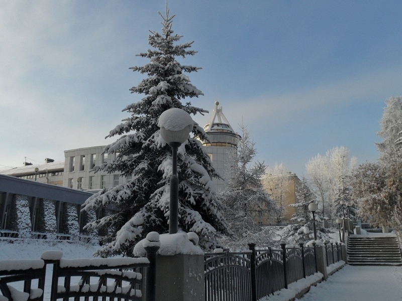 ������ ����