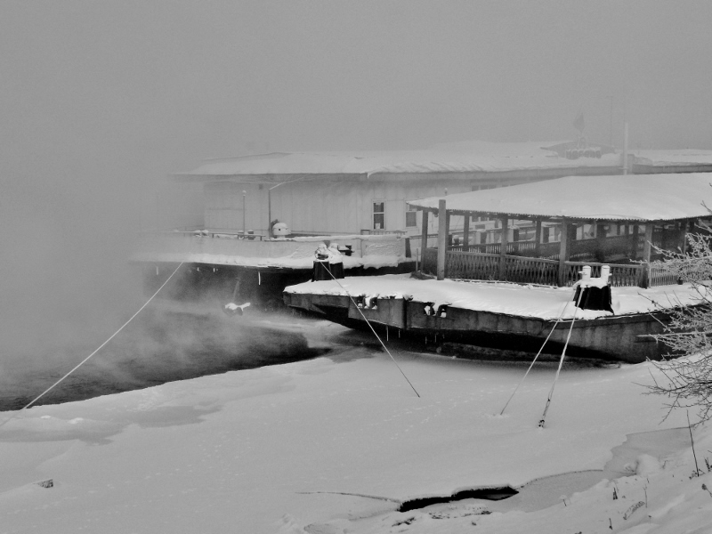 ������ ��������