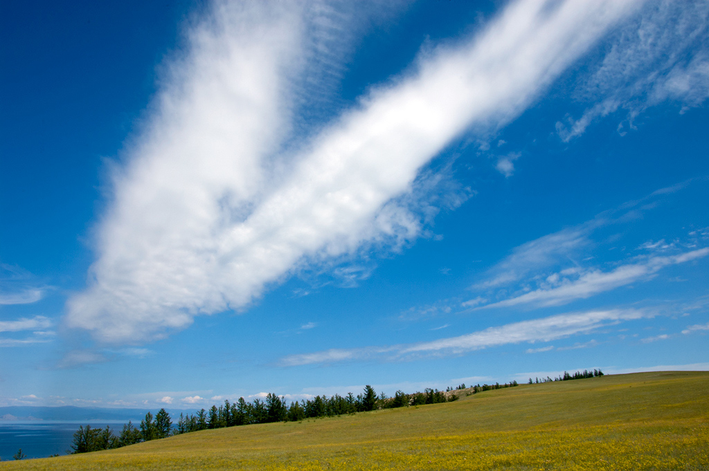 ���� �������