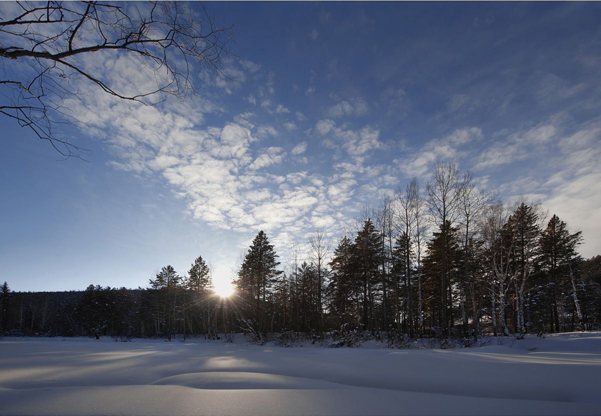 ������...