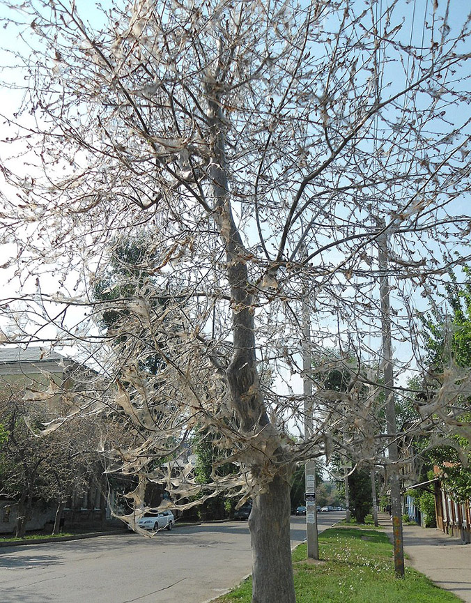 ��������� ����������