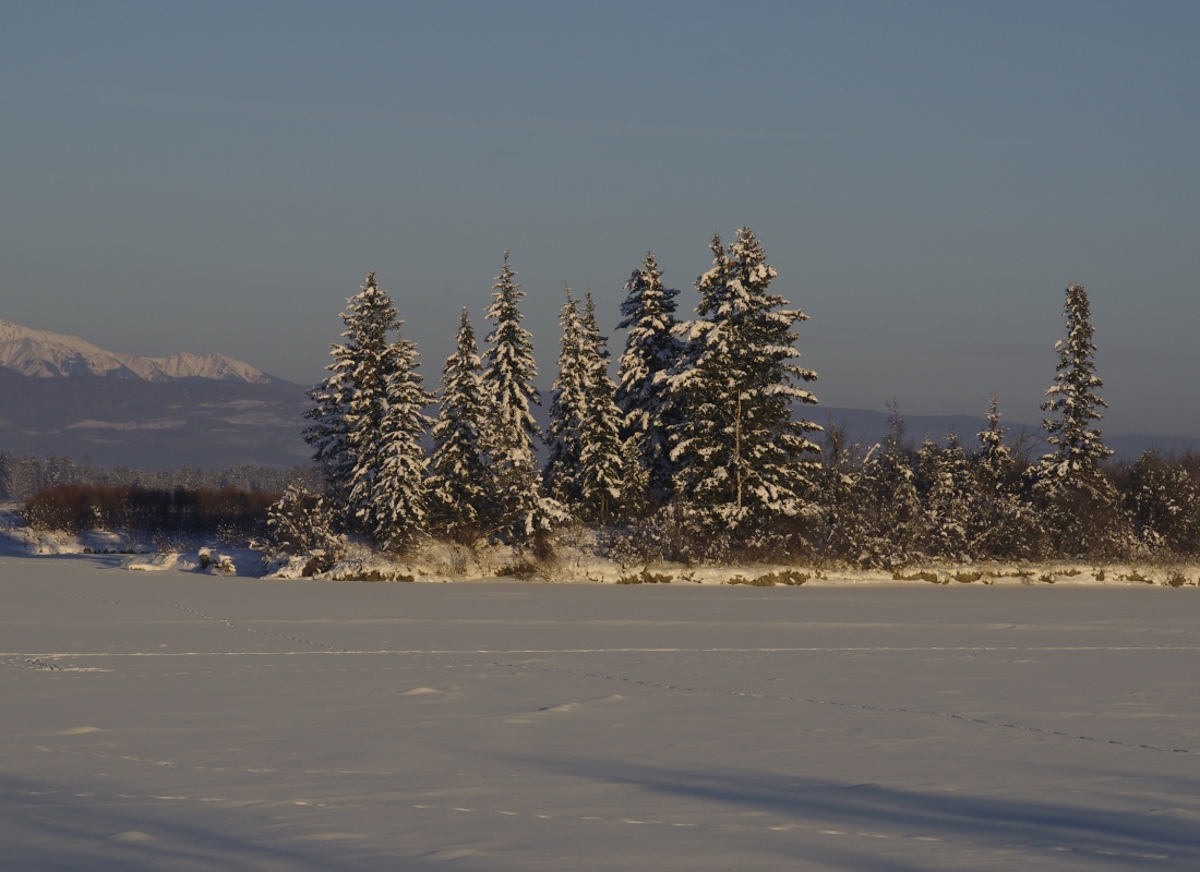 ��� �� ������