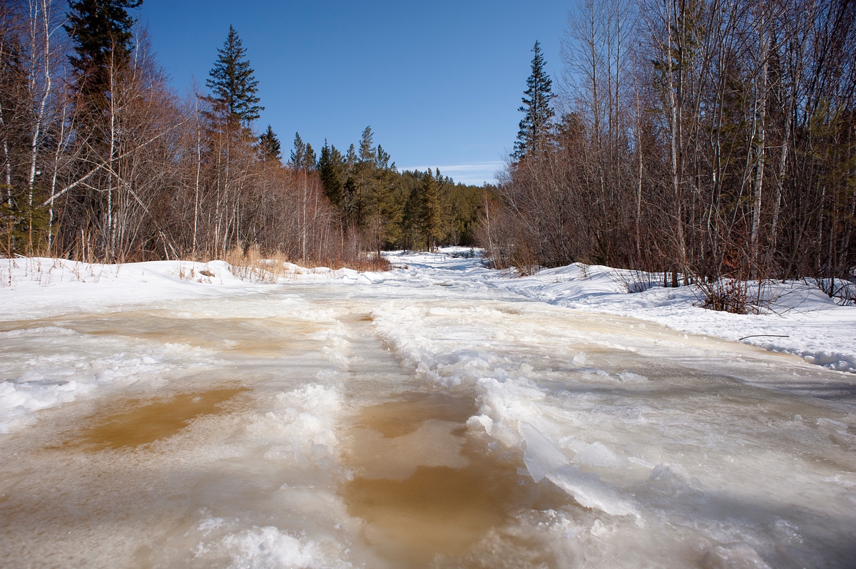 ����� ��������..