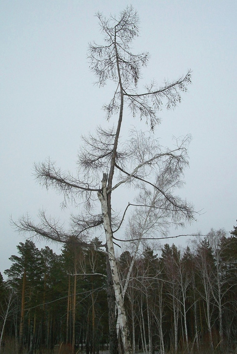 ����h�� � ��h��