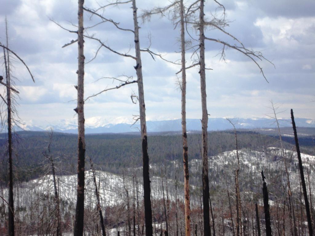 ������ ������ 2