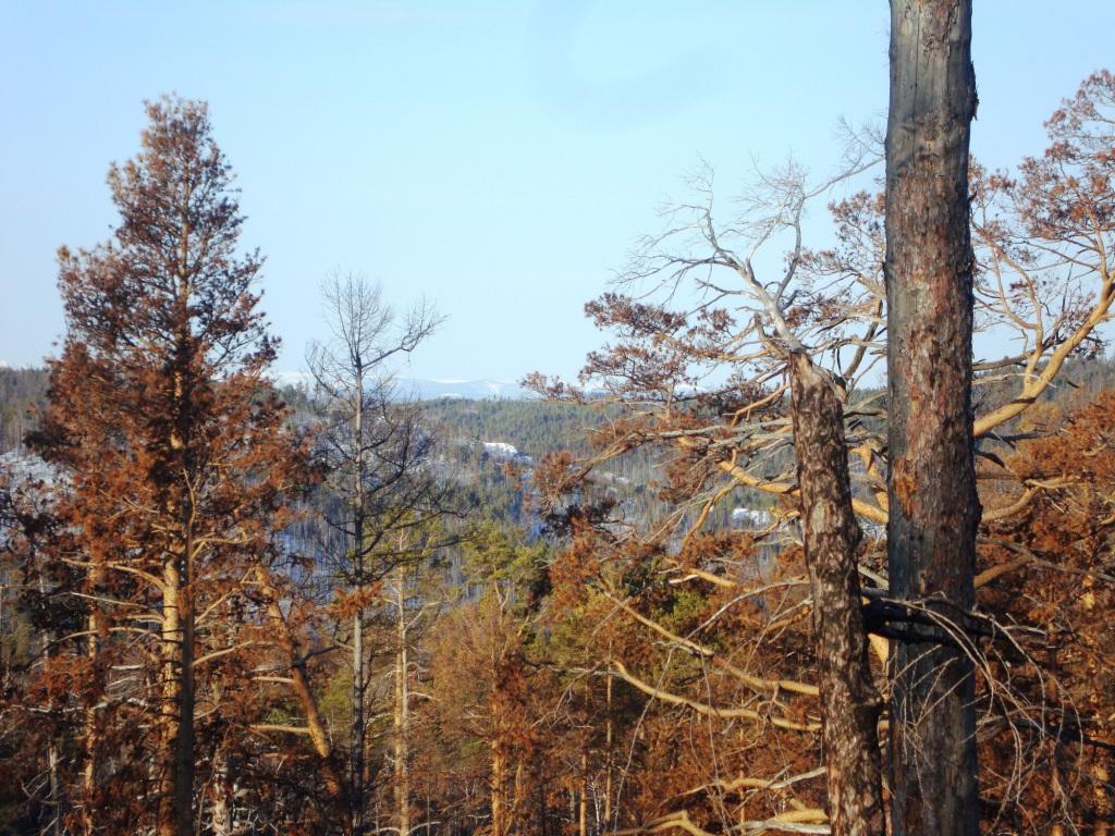 ������������ 4