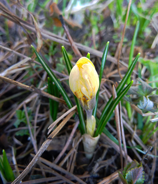 ��� ������� �����!