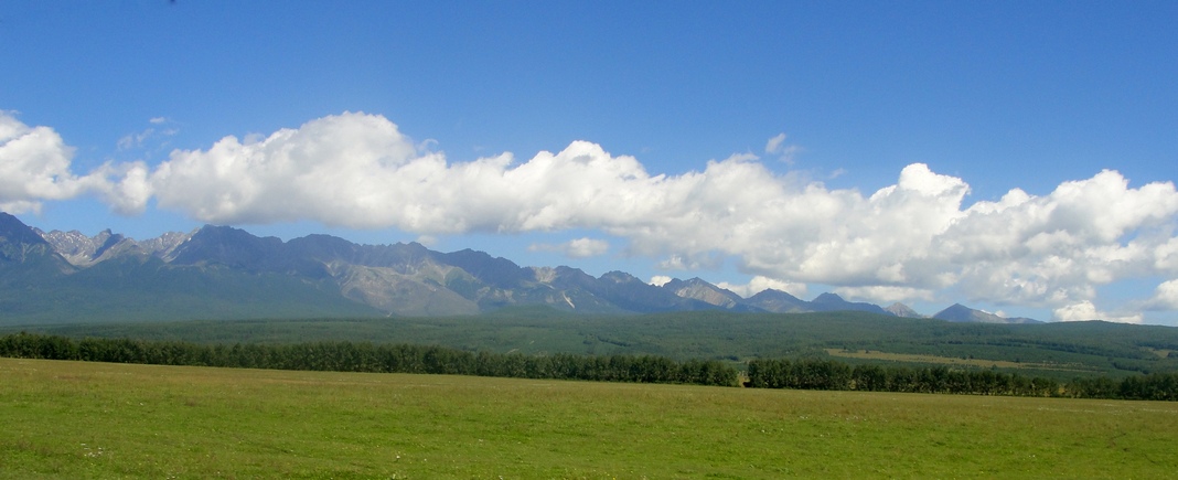 ������������ �������� ���������� �������