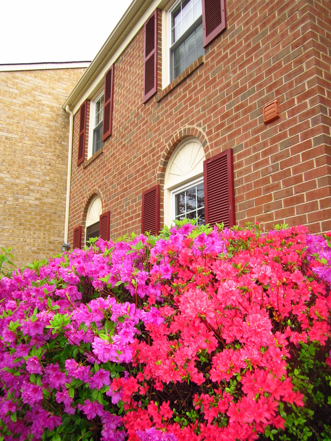 �������� ���.