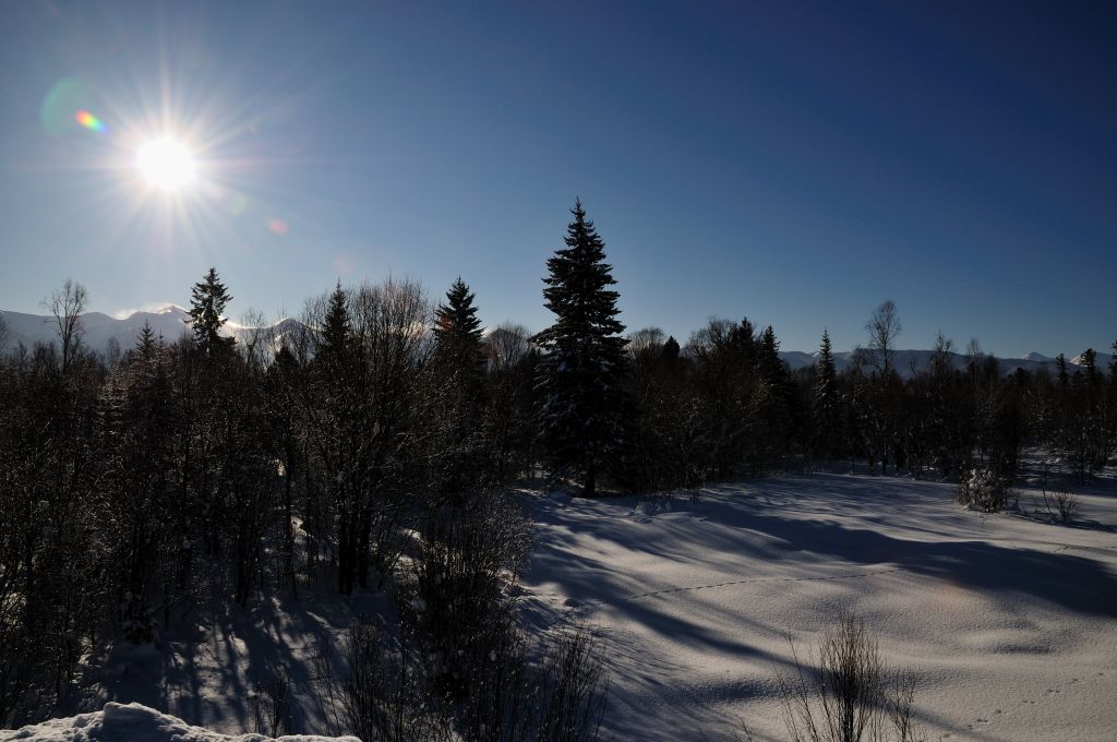 ��� �� �����-����� �� ���� �������