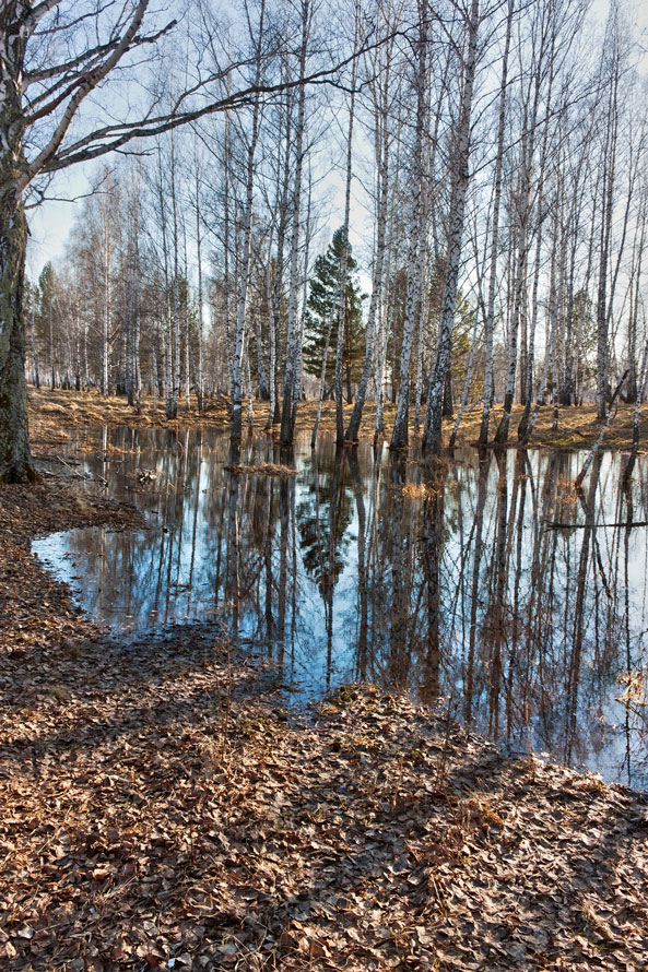 ���������� �������� 1