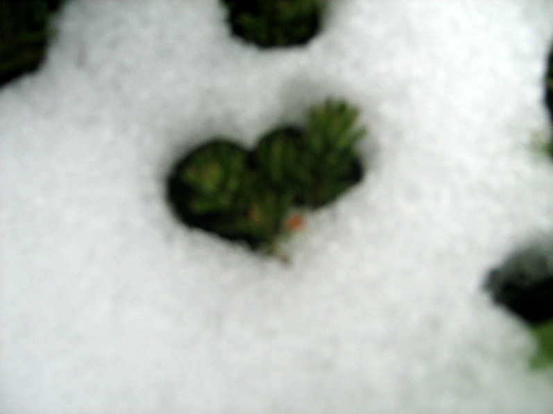 ������ ������� ������ �����������