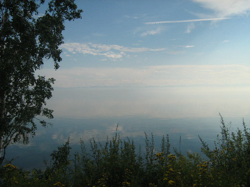 ���������������� ������ ��������