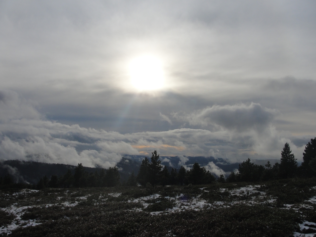 ������������