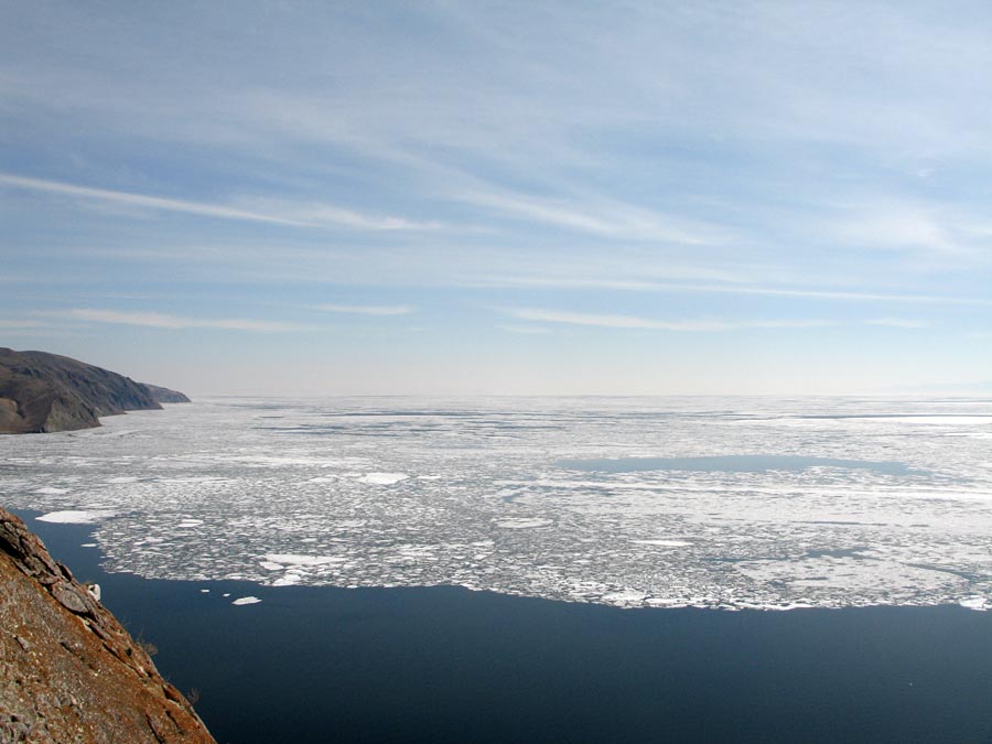 ˸� ��������