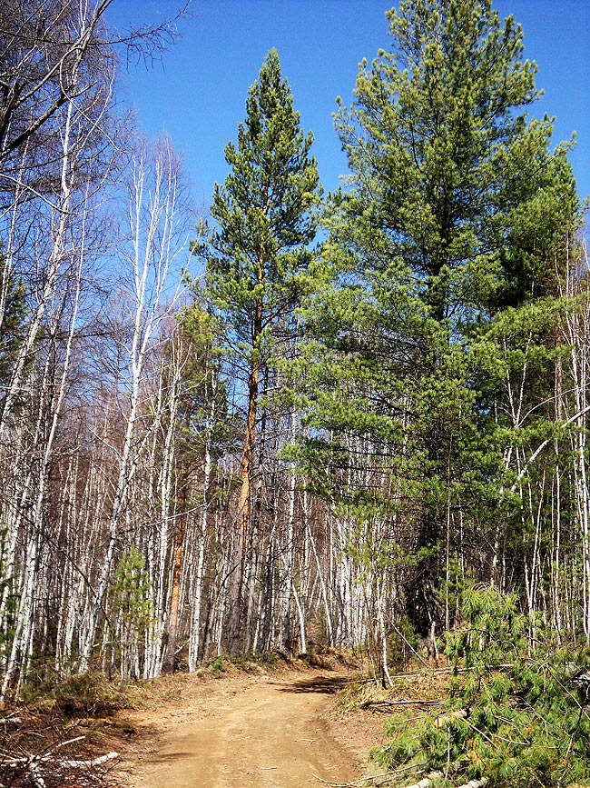 ������ �� ������ ��������