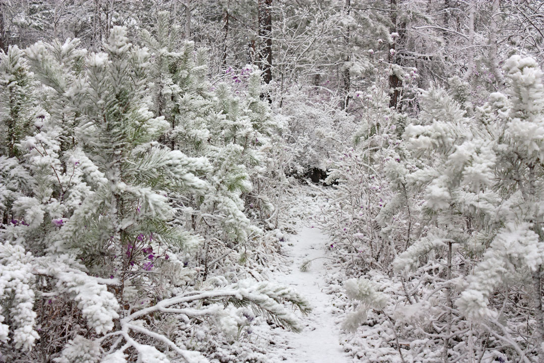 �� �������, ��� ����?