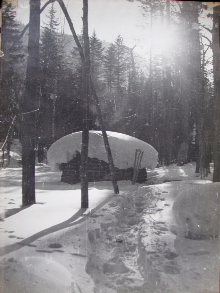 ������� � ����� ����������