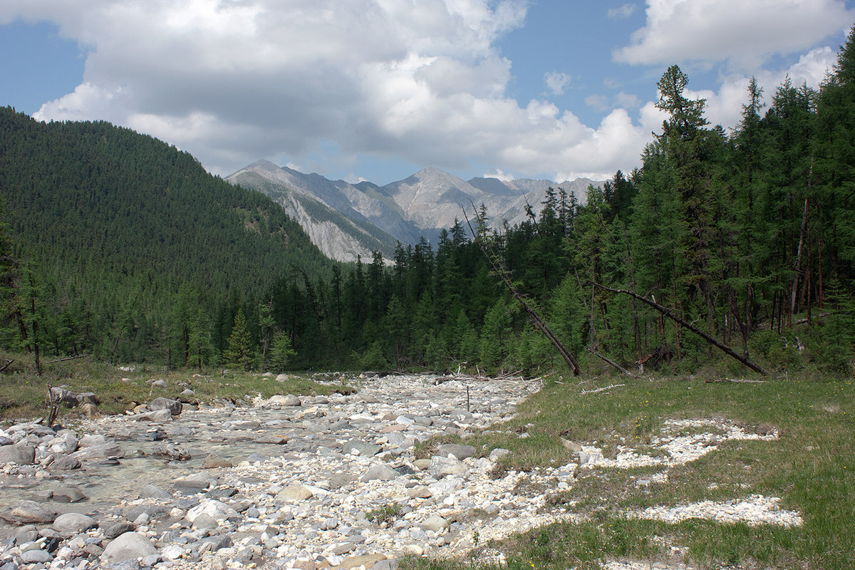 ���������� ������ ���-����