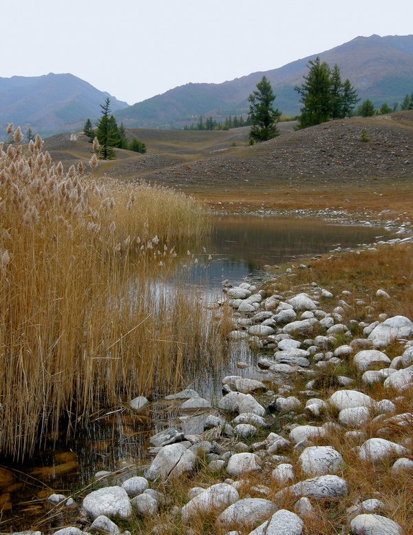 ����� �����