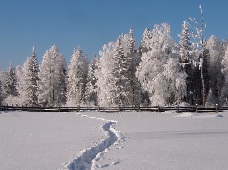 ������ �����