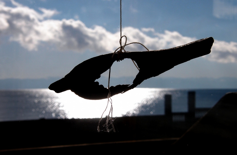 ���� � �������