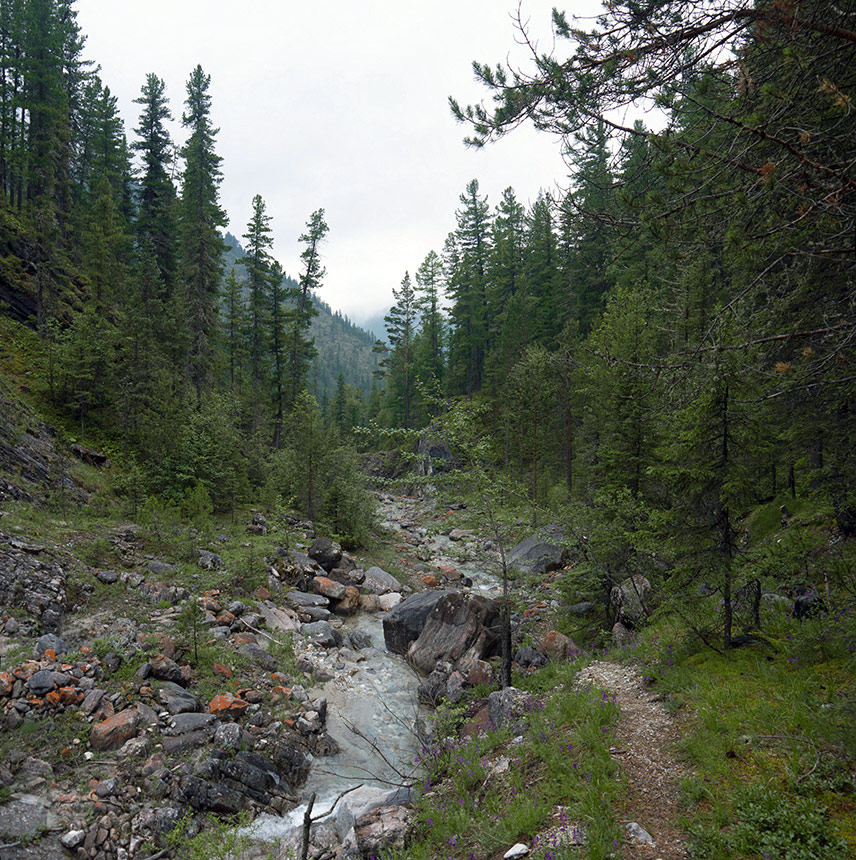 ������ �����