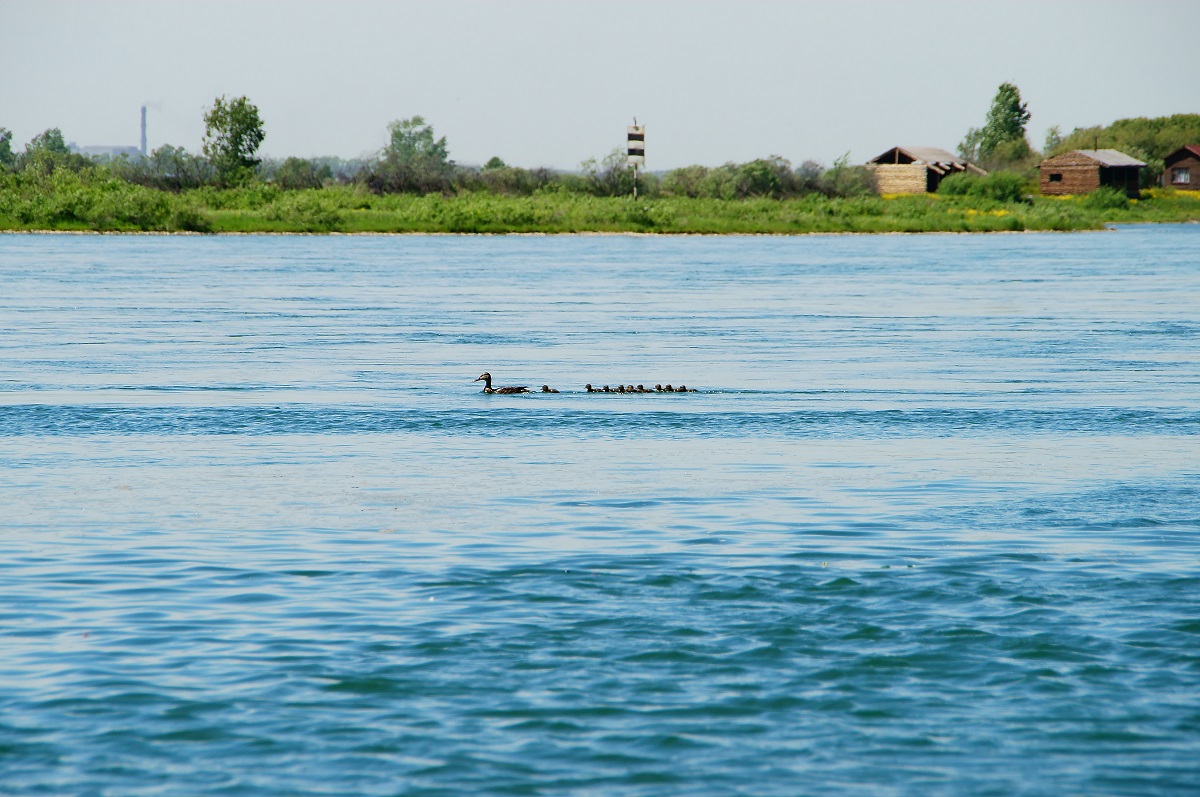 �! ����� ������ �� ����!