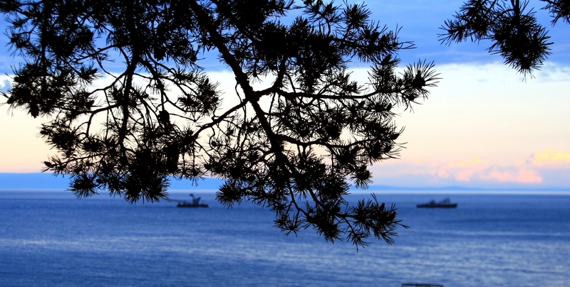 ������� (��� �� �������)