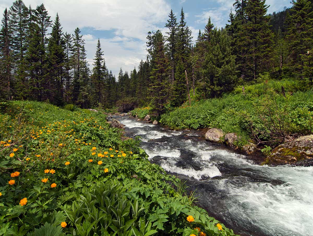 ��������� �����