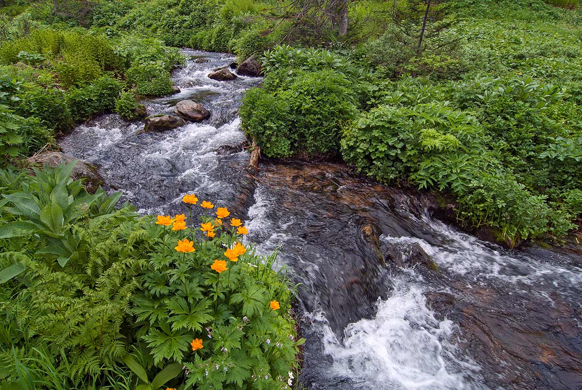 ��������� �����