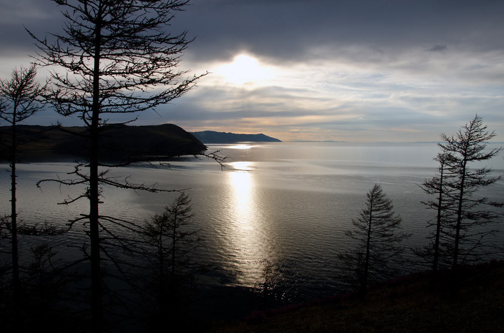 ��������� ����