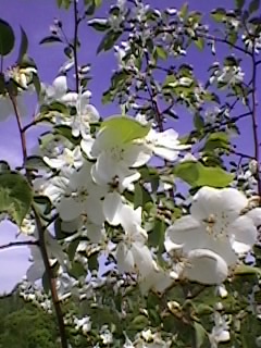 ����� ������