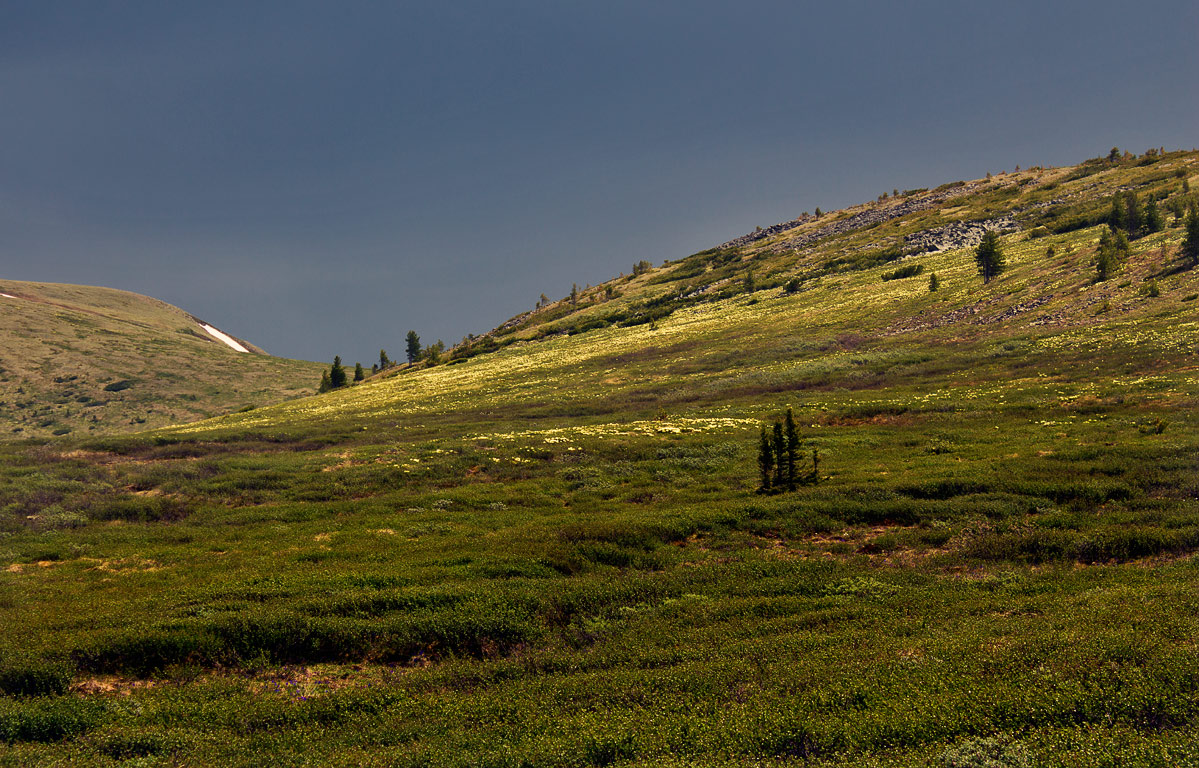 ���� �������